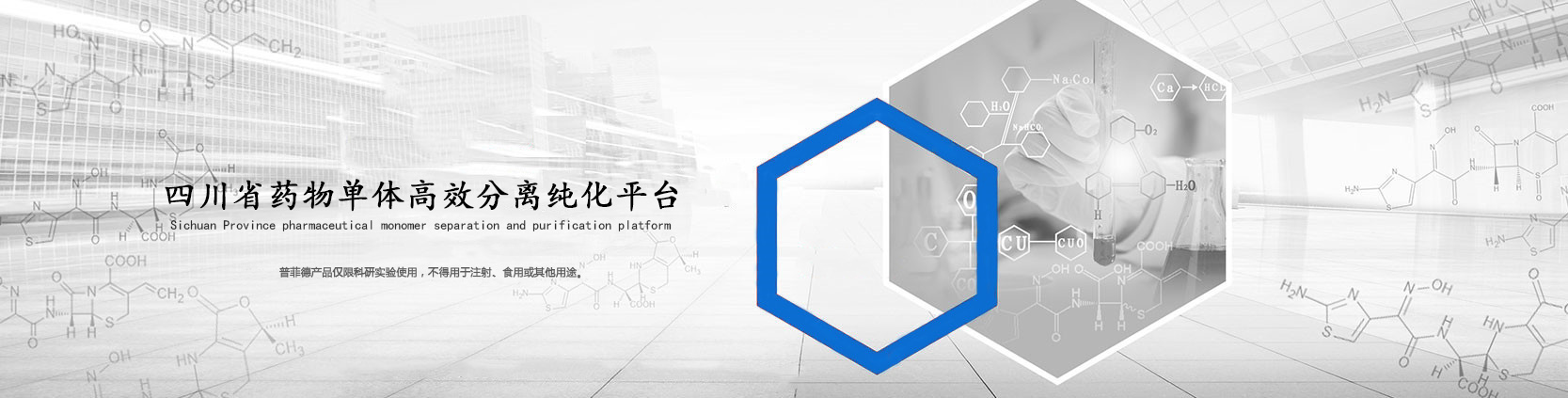 目錄肽-多肽定制-多肽合成公司-正肽生化科技(南京)有限公司
